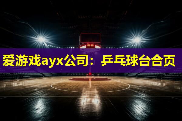 爱游戏ayx公司：乒乓球台合页