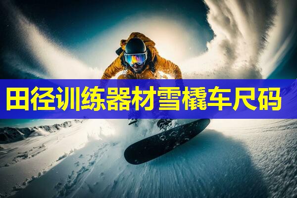 田径训练器材雪橇车尺码