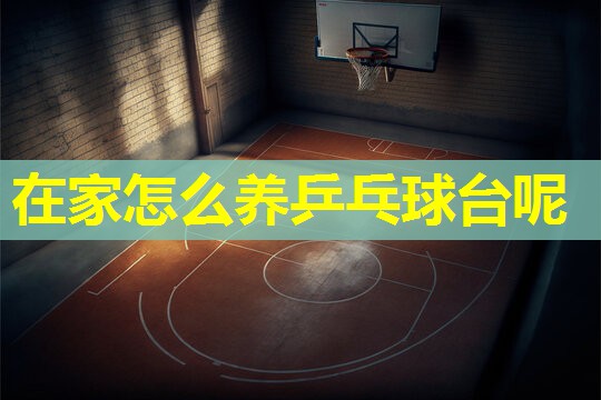 在家怎么养乒乓球台呢