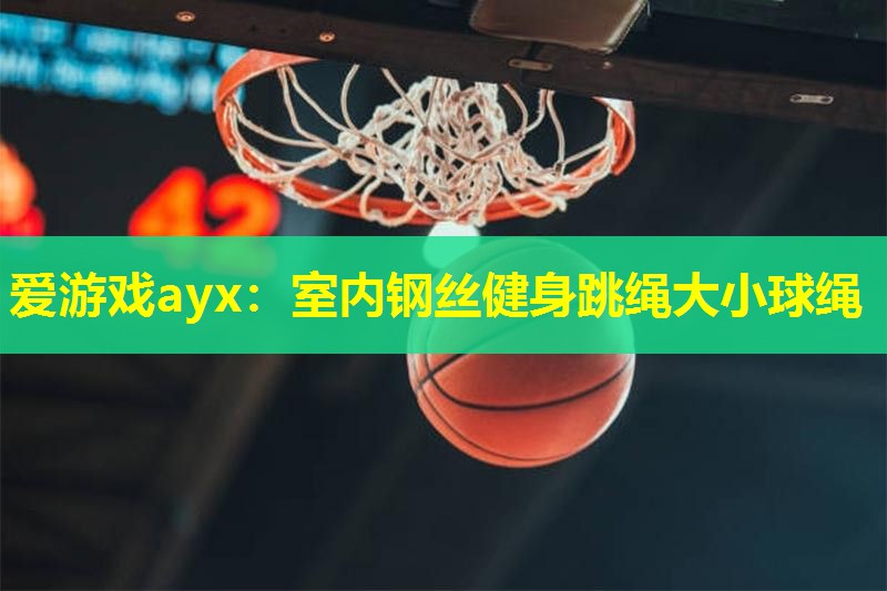 爱游戏ayx：室内钢丝健身跳绳大小球绳