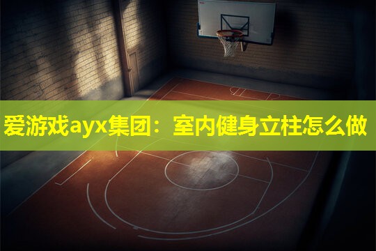 爱游戏ayx集团：室内健身立柱怎么做