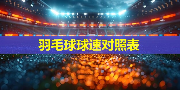 羽毛球球速对照表