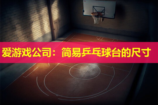 简易乒乓球台的尺寸