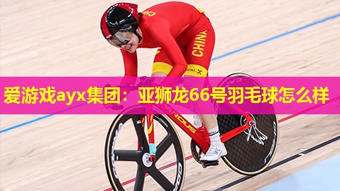 亚狮龙66号羽毛球怎么样 亚狮龙66号羽毛球怎么样