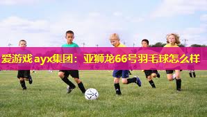 亚狮龙66号羽毛球怎么样 亚狮龙66号羽毛球怎么样