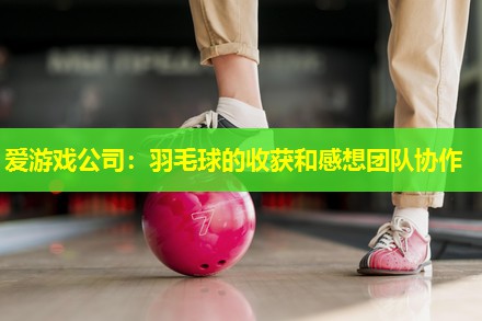 羽毛球的收获和感想团队协作 羽毛球的收获和感想团队协作