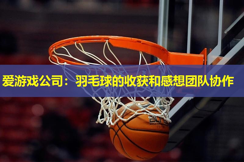 羽毛球的收获和感想团队协作 羽毛球的收获和感想团队协作