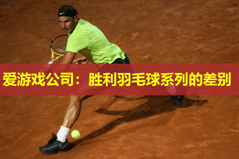 胜利羽毛球系列的差别 胜利羽毛球系列的差别