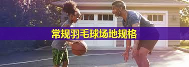 常规羽毛球场地规格 常规羽毛球场地规格