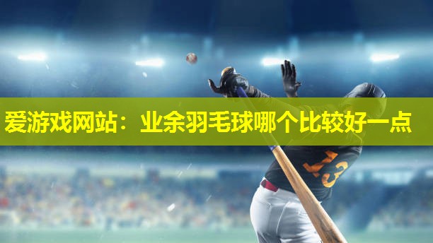 业余羽毛球哪个比较好一点 业余羽毛球哪个比较好一点