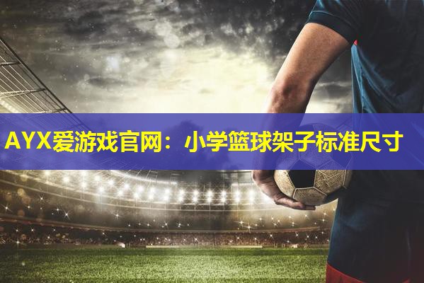 小学篮球架子标准尺寸 小学篮球架子标准尺寸