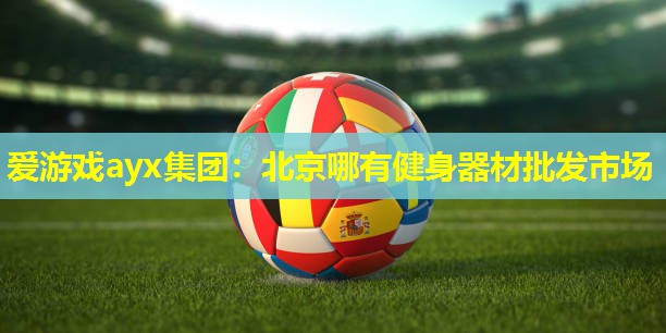 北京哪有健身器材批发市场 北京哪有健身器材批发市场
