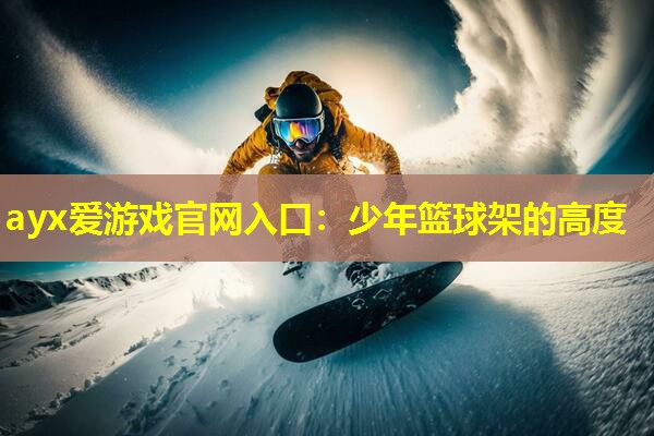 少年篮球架的高度 少年篮球架的高度