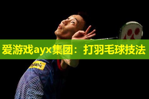 打羽毛球技法 打羽毛球技法