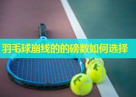 羽毛球崩线的的磅数如何选择 羽毛球崩线的的磅数如何选择