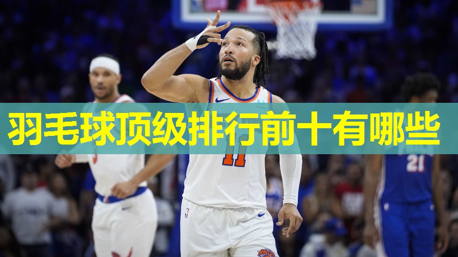 羽毛球顶级排行前十有哪些 羽毛球顶级排行前十有哪些