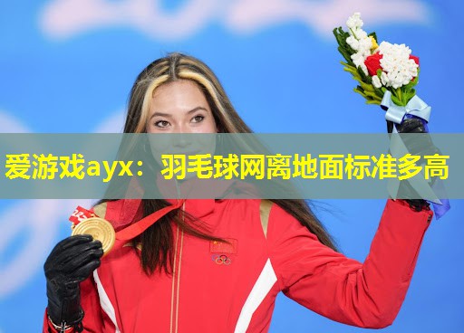 羽毛球网离地面标准多高 羽毛球网离地面标准多高