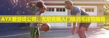 尤尼克斯入门级羽毛球拍推荐 尤尼克斯入门级羽毛球拍推荐